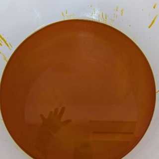 opcja natura instagram feed foto 8